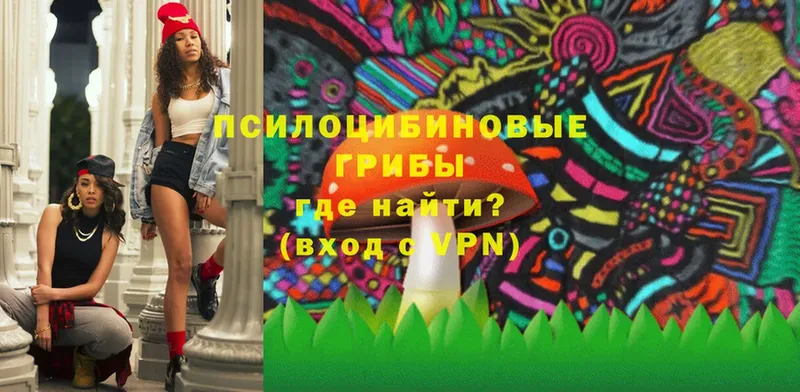 Псилоцибиновые грибы Magic Shrooms  mega вход  Мытищи 